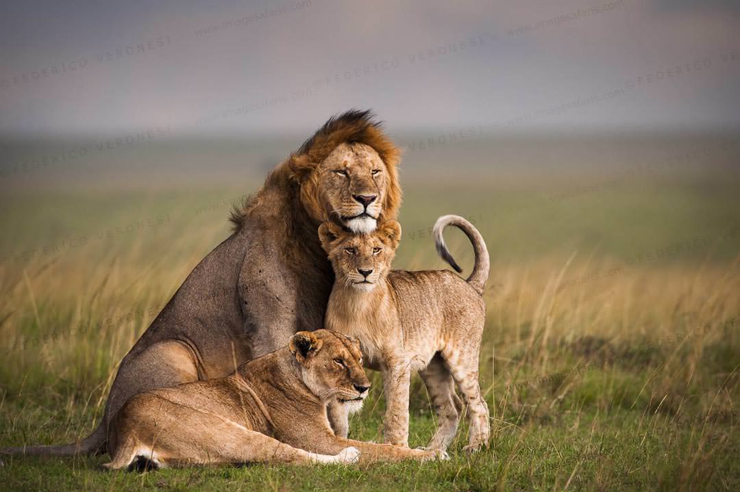 15 Day Luxury Tour In East Africa