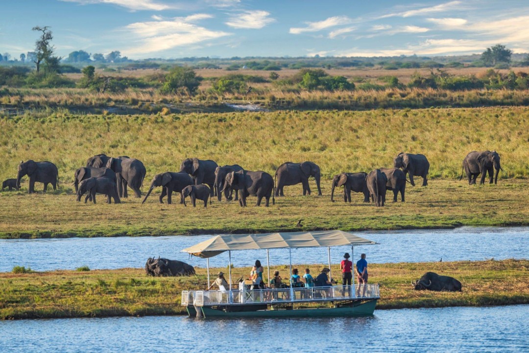 Chobe National Park