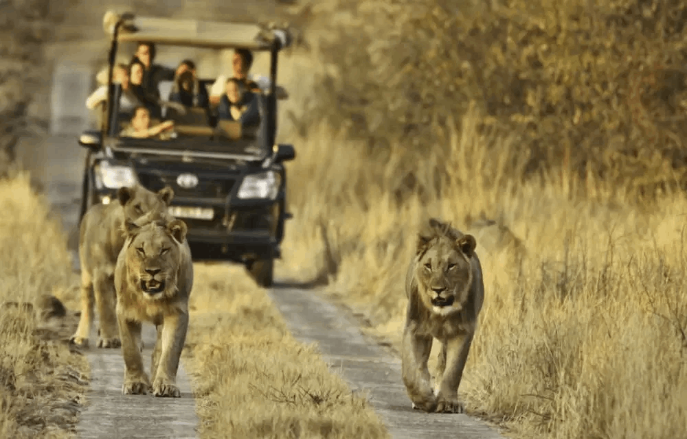 South Africa
