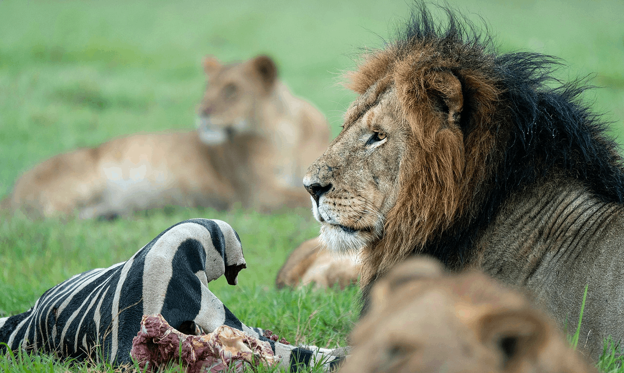 10 Best Honey Moon Destinations In Kenya