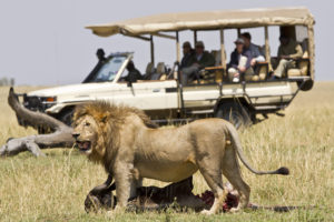 8 Days Serengeti, Ngorongoro & Zanzibar