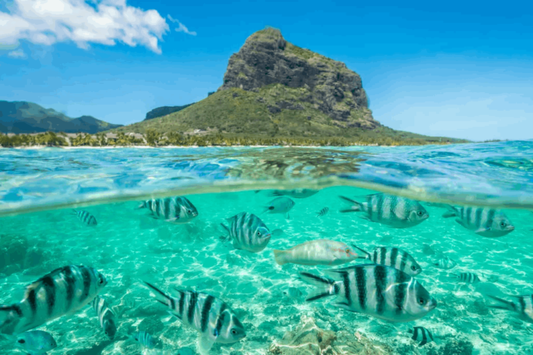 8 Days Mauritius Tour