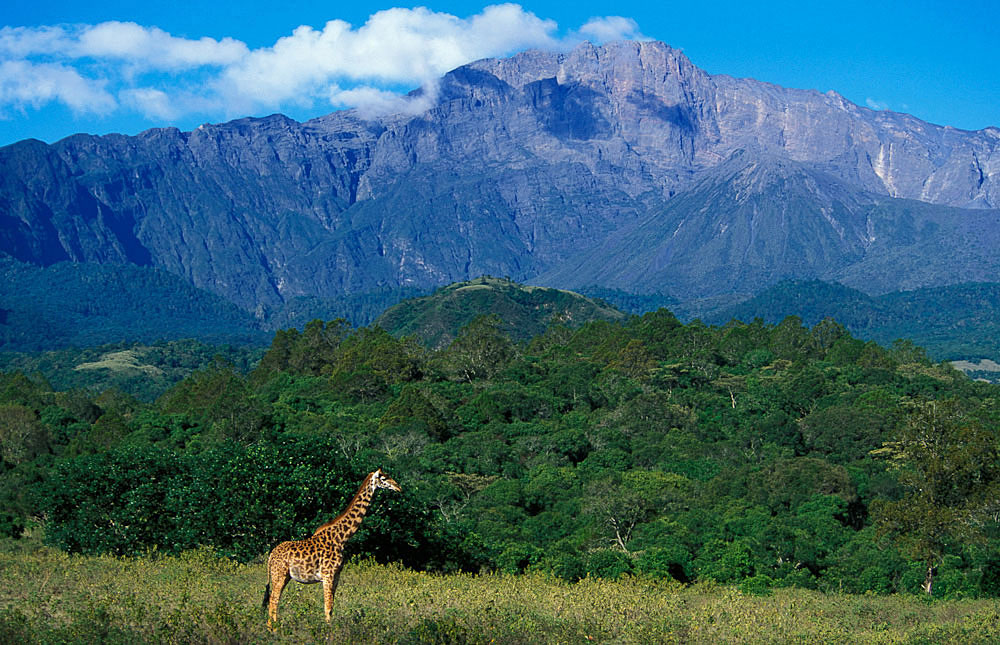 Arusha National park 