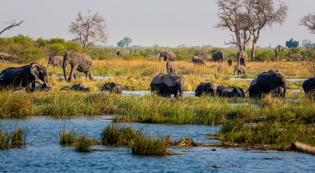 Caprivi Strip.