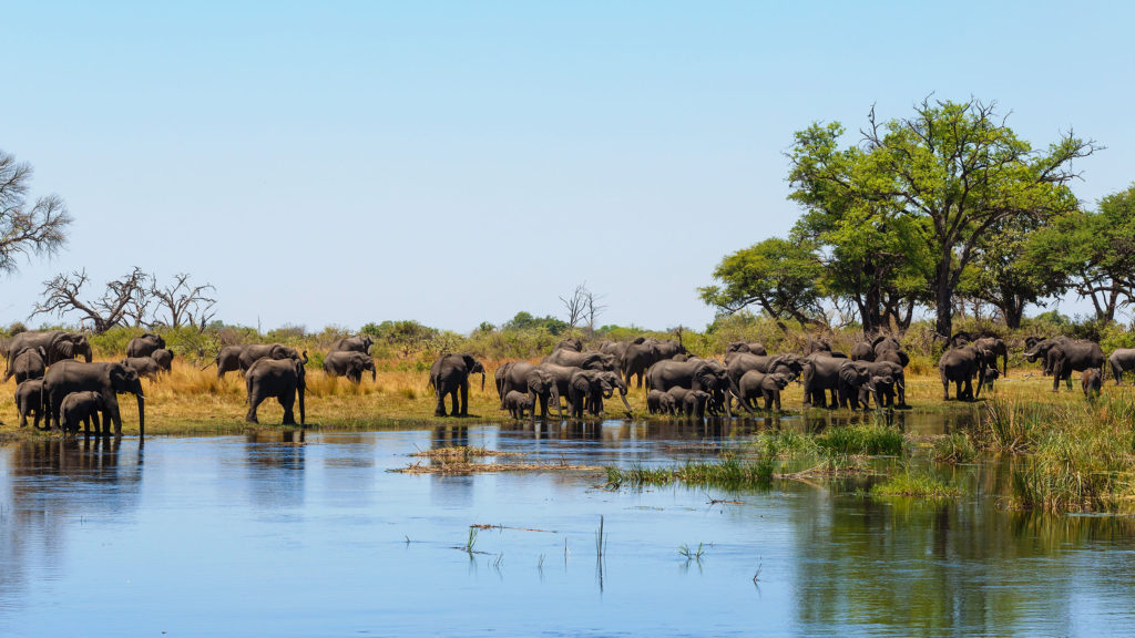 Caprivi Strip.