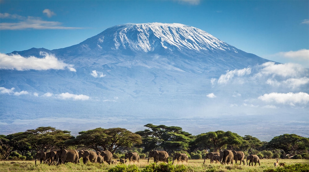 Kilimanjaro