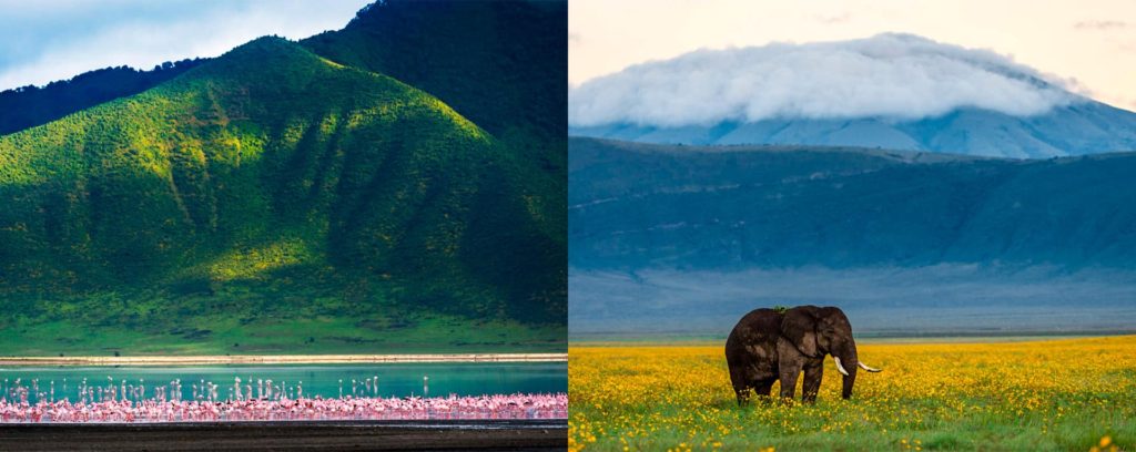 Ngorongoro crater