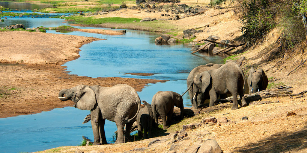 Ruaha National Park.