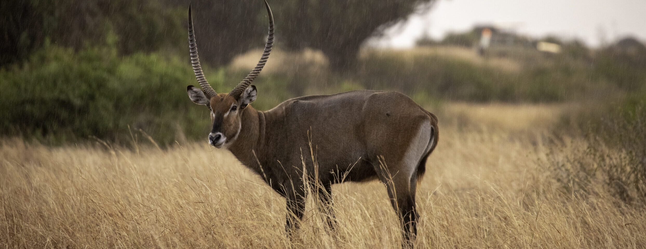 Tarangire National Park 