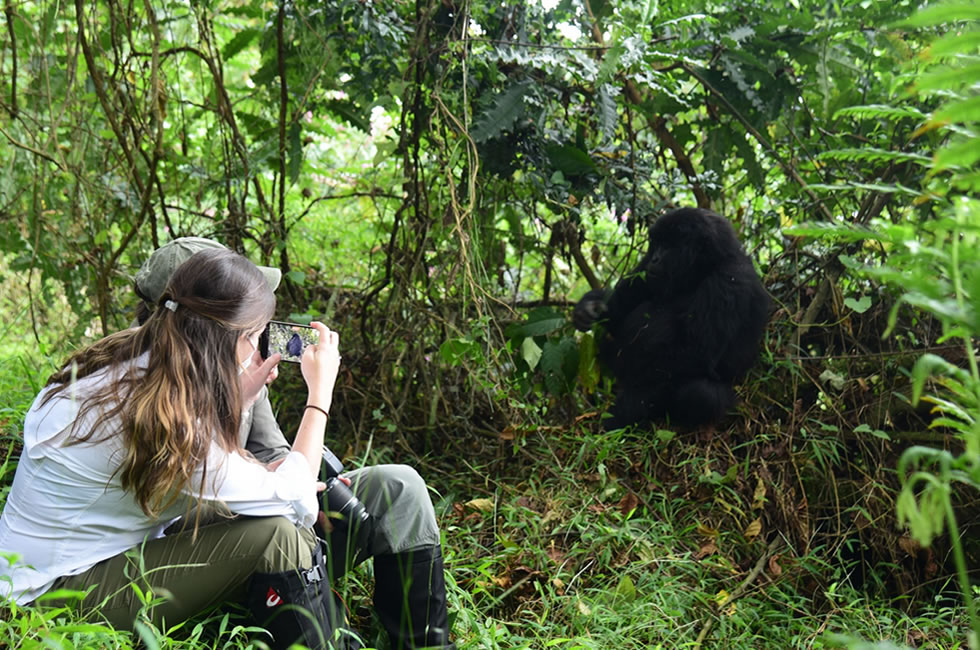 Guide to Gorilla Trekking in Rwanda