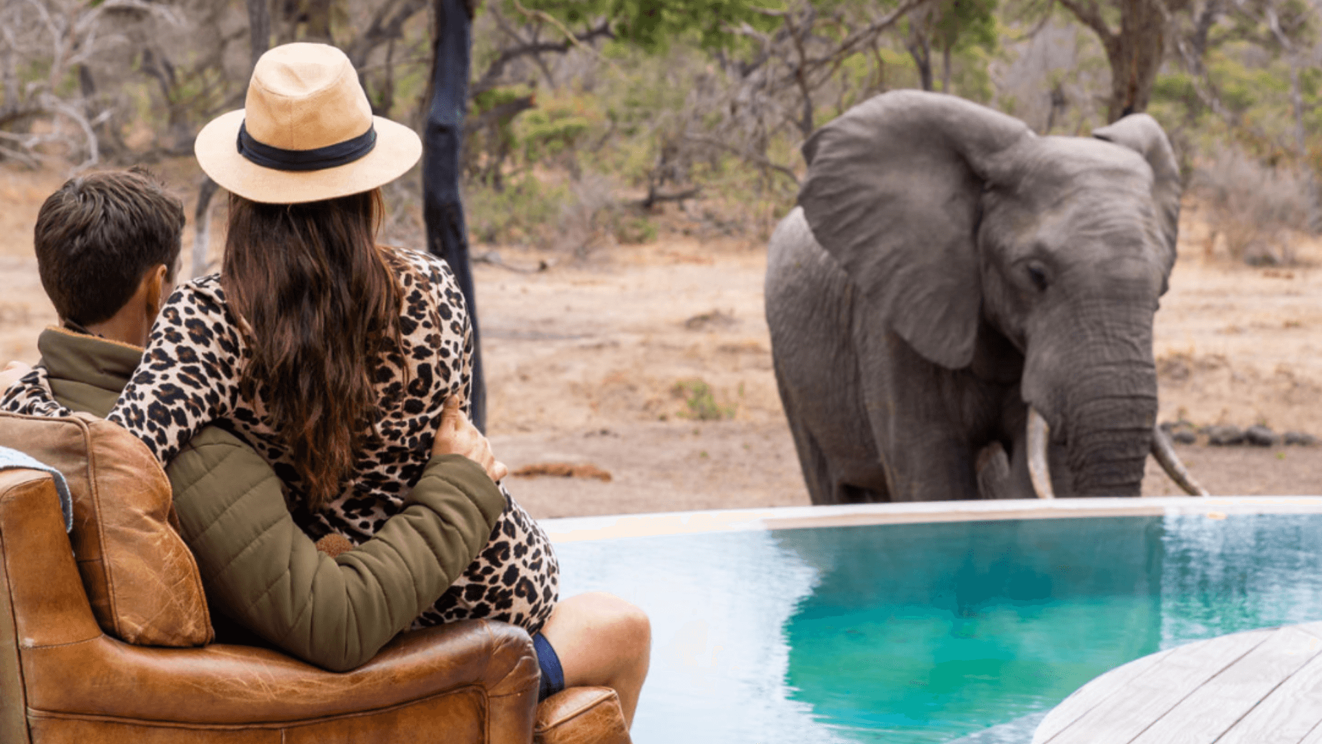 a smilling senior Travelers couple admiring an elephant while relaxing lodge scenery