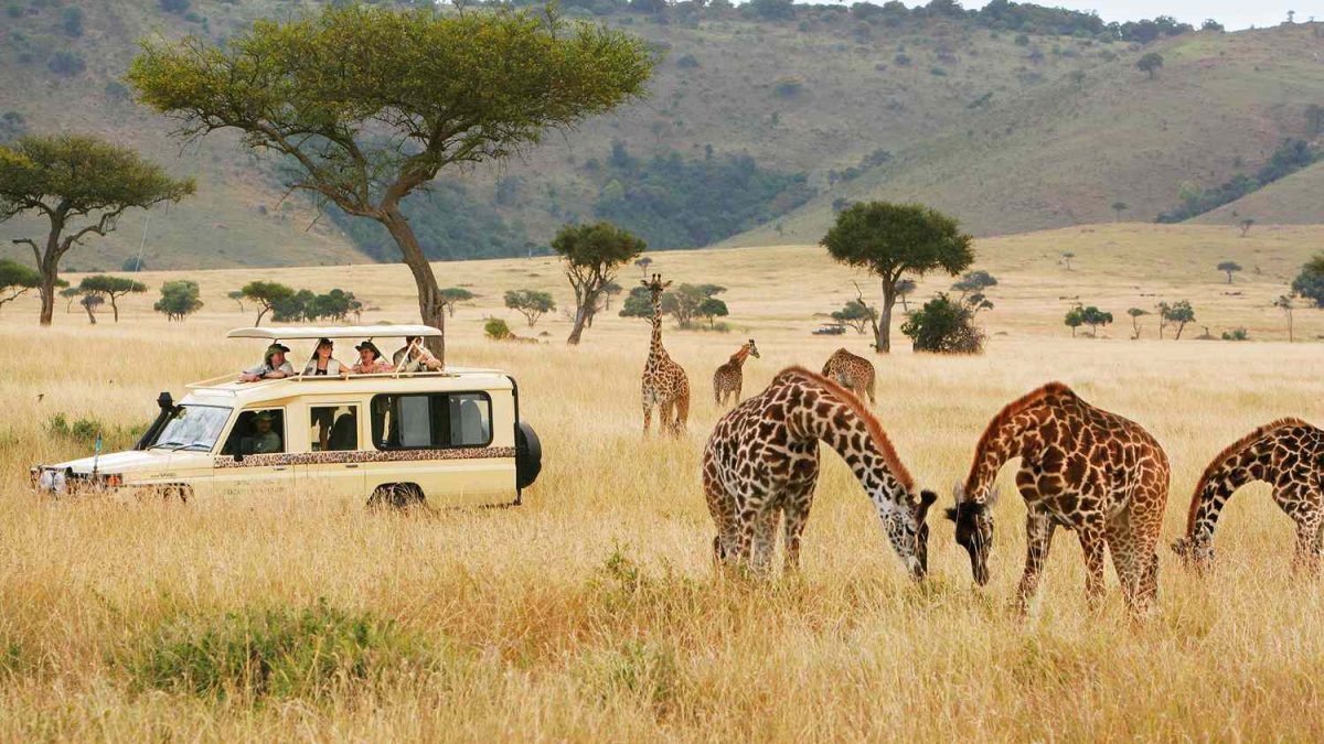 What A Luxury Safari Is Like, Is It Really Worth It?