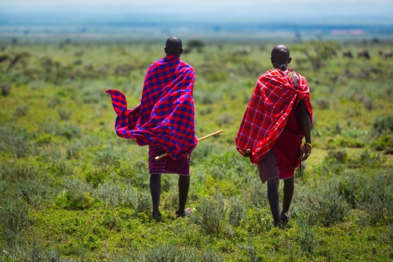 8 Days Kenya Budget Safari