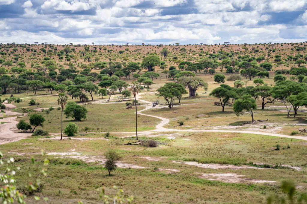 Tarangire National park