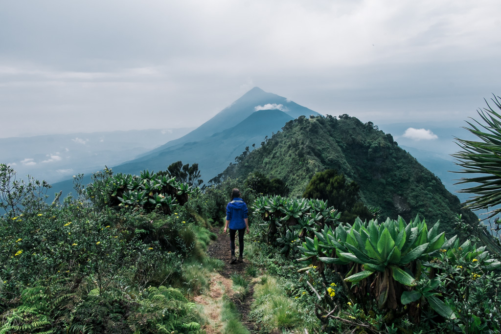 sabinyo hike