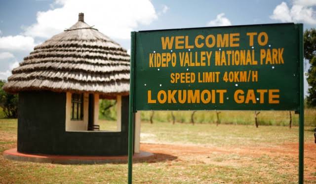 6 Day Safari In Kidepo Valley And Murchison Falls