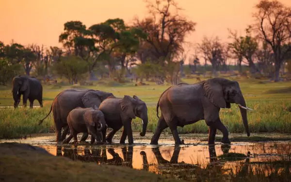 10 Day Tanzania Holiday Safari