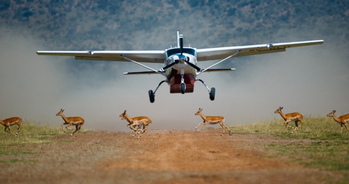 Kidepo Valley National Park Fly-In Safari