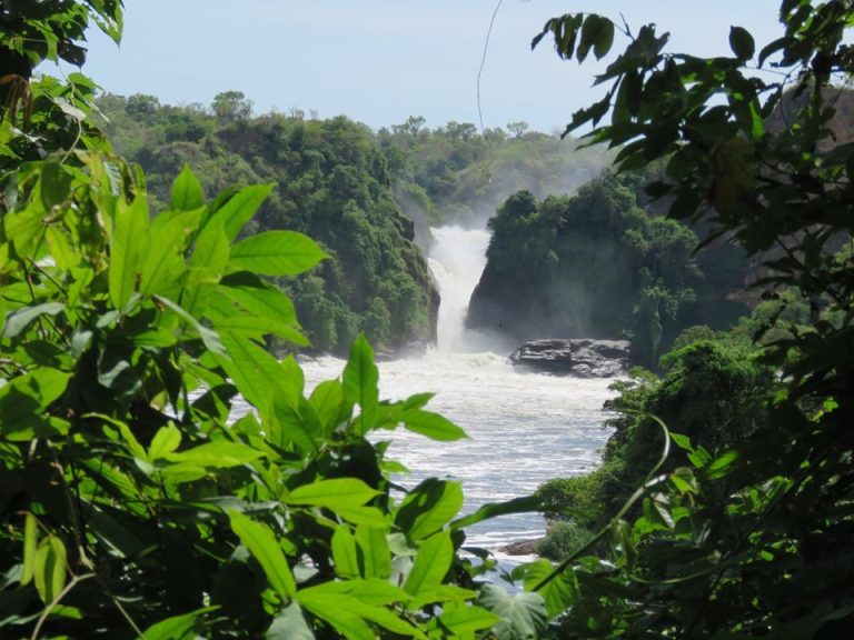 Best Time To Visit Murchison Falls