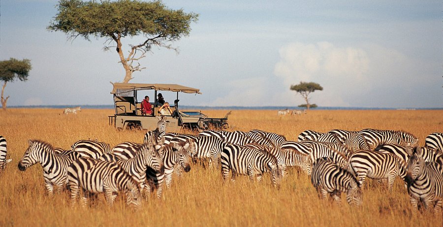Samburu National Reserve
