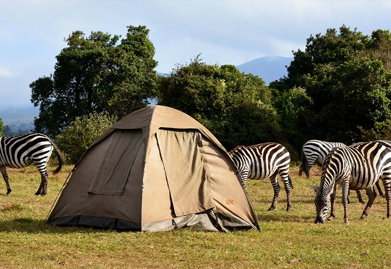 2 Day Tanzania Camping Safari 