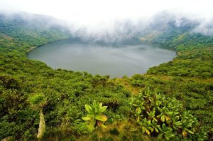 14 Days Best Rwanda And Kenya Safari