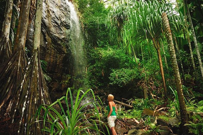 Fun Things To Do In Seychelles