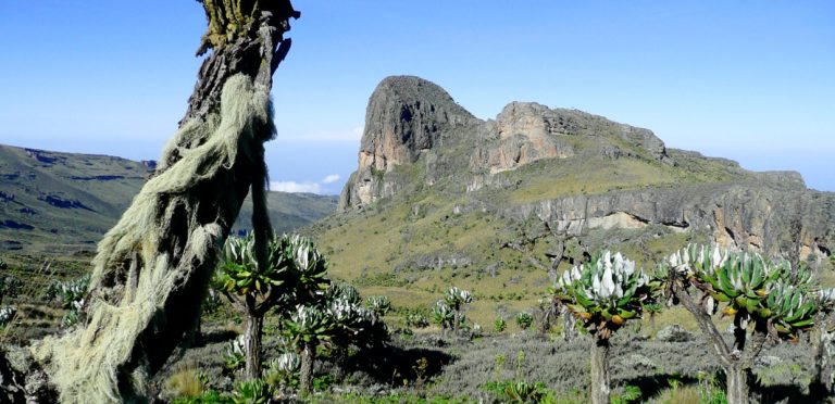 9 Days Mount Elgon Hike & Cultural Tour