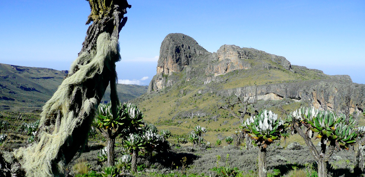 9 Days Mount Elgon Hike & Cultural Tour