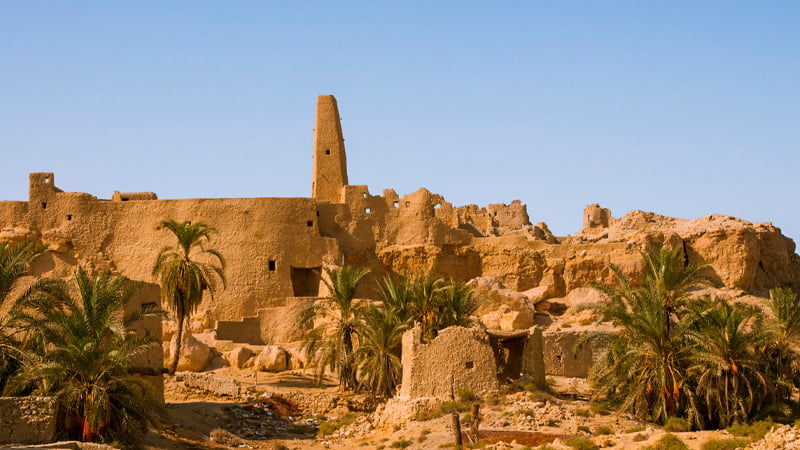 The ultimate 10-Day Egypt Tour