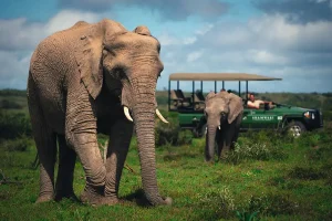 15 Best Places to Visit in South Africa