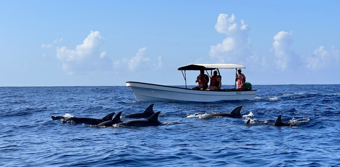 7 Day Zanzibar Beach Tour