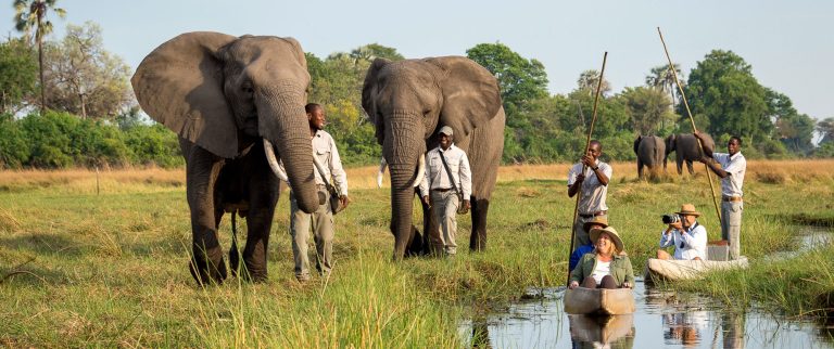 15 Days Uganda Botswana Safari