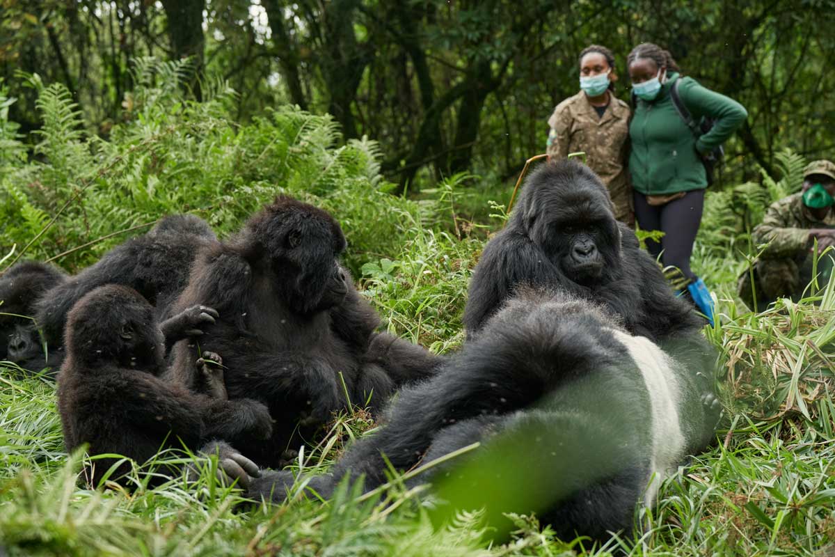 Ultimate 10-Day Primate & Plains Safari