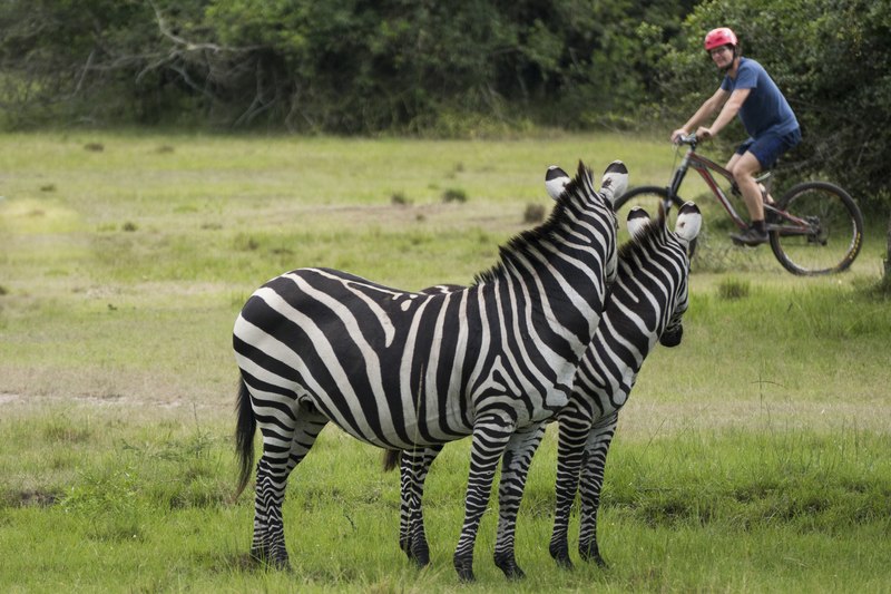 5 Day Uganda Conservation Safari