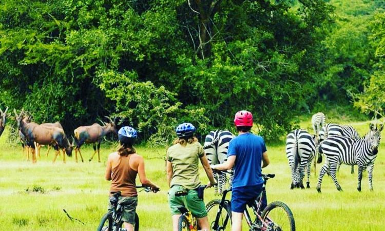 Eco Tourism in Uganda