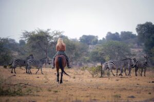 Why Lake Mburo National Park is The Best For Walking Safaris
