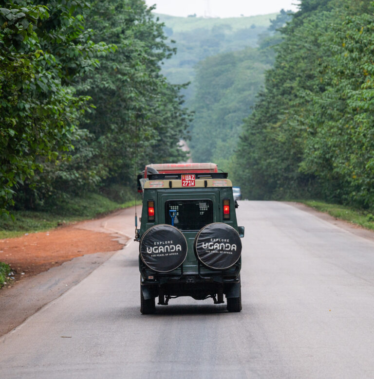 11 DAYS UGANDA SAFARI