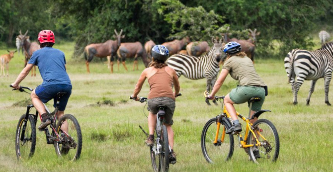 travelers on a corporate ugandan safari in lake mburo national park