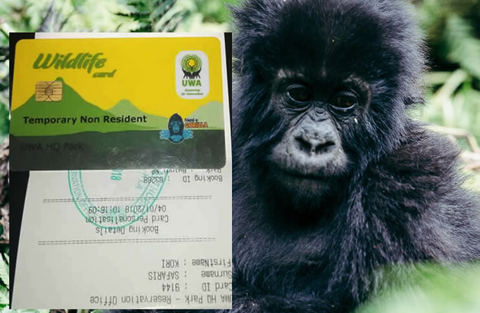 Rwanda Gorilla Trekking Permits