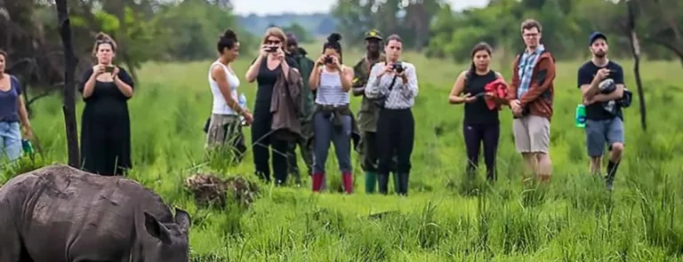 Group Safari in Uganda: Complete Guide