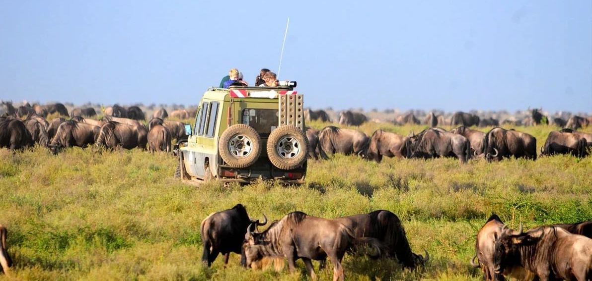 Best Value Group Safari Packages in Uganda