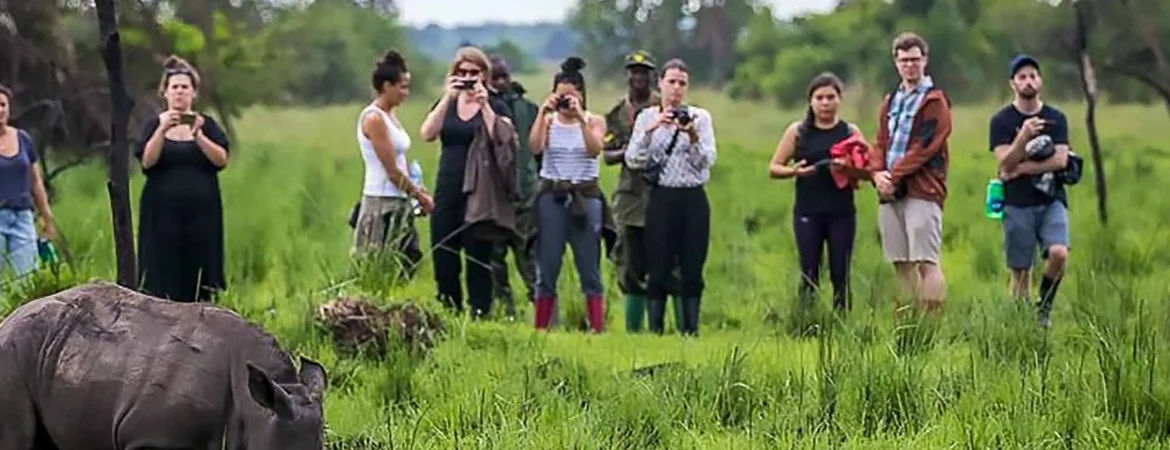 Group Safari in Uganda: Complete Guide