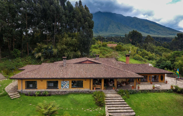 Best Luxury Lodges Near Volcanoes National Park Rwanda (2026 Guide)