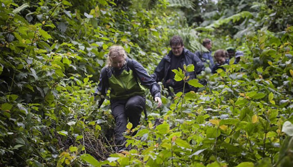 travelers on agroup trek