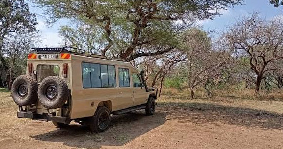 Private Uganda Wildlife Safaris - Savannah Game Drive in Queen Elizabeth National Park