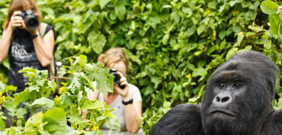 honeymoon in uganda