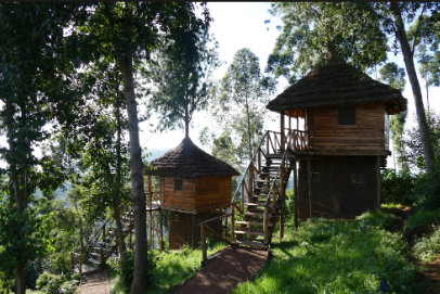 eco friendly lodges in uganda