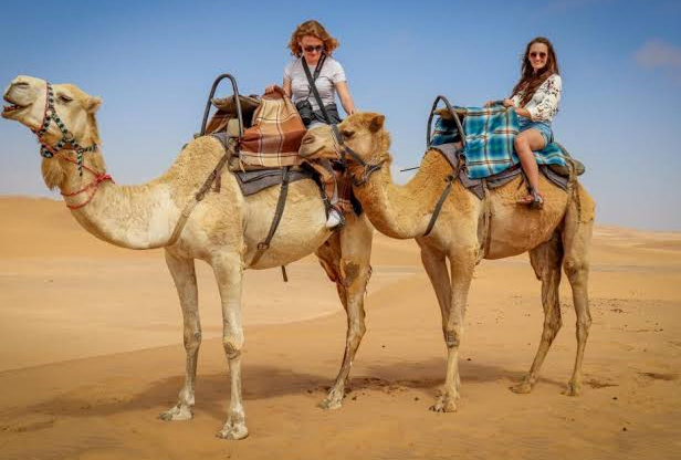 camel desert safari egypt