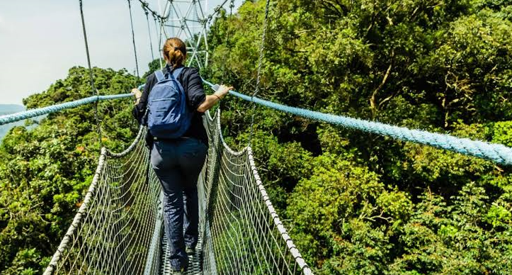 canopy walkway suspension bridge Rwanda